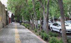 مدیر منطقه ۳ شهرداری اصفهان: سرتاسر خیابان احمدآباد جدول‌گذاری و آسفالت می‌شود
