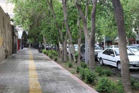مدیر منطقه ۳ شهرداری اصفهان: سرتاسر خیابان احمدآباد جدول‌گذاری و آسفالت می‌شود