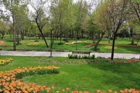 اجرای طرح نگهداشت فضای سبز در ۶ نقطه منطقه ۲۲ تهران