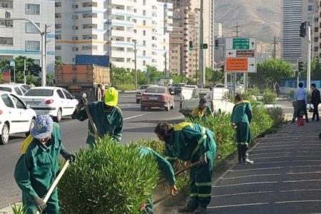 اجرای طرح نگهداشت شهر در بلوار شهید اردستانی تهران