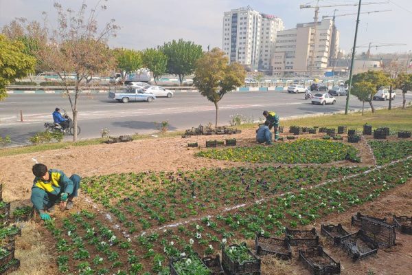 اجرای فرش گل در بوستان لاله و لادن در منطقه ۲۲ تهران