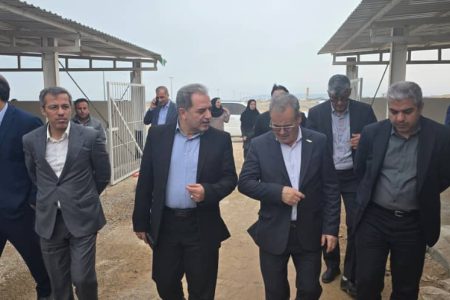 پرورش میگوی متراکم، گامی مؤثر در افزایش بهره‌وری شیلاتی