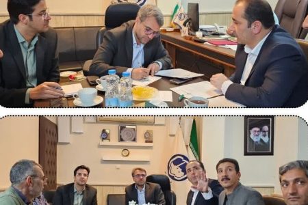 دیدار مدیر کل دفتر امور شهری و شوراهای استانداری اصفهان با مدیریت شهری سین