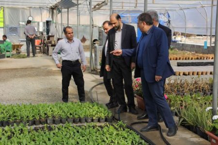 پرورش سالانه یک میلیون انواع گل و درخت در گلخانه شهرداری گلپایگان