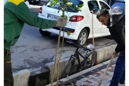 کاشت ۱۵۰۰ اصله نهال در جمعههای نارنجی تنکابن