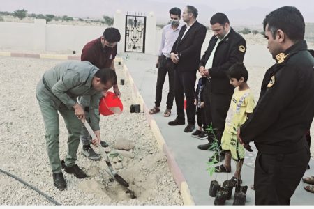 مراسم کاشت نهال به مناسبت روز درختکاری در روستای تنگ بستک برگزار شد