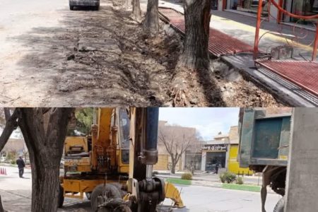 جدول‌گذاری و بهسازی جداول فضای سبز بلوار مدرس شهرضا