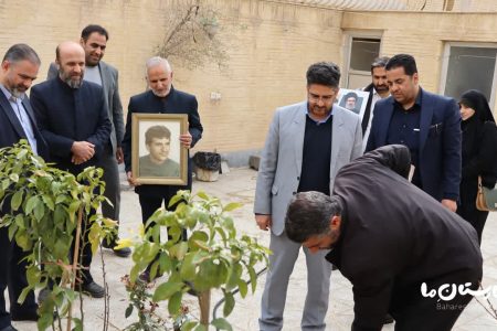 کاشت درخت در خانه های شهدای شهر بهارستان