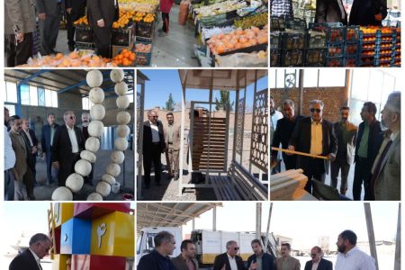 بازدید میدانی شهردار بیرجند از برخی پروژه های شهرداری در طرح استقبال از بهار