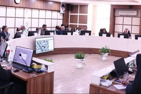 اختلاف نظر شورای شهر کرمان بر سر دو تقاطع غیرهمسطح!