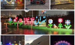 کسب رتبه بسیار مطلوب اداره زیباسازی منطقه ۲۲ در ارزیابی عملکرد ۱۴۰۴